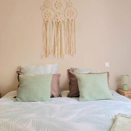 Apartament Superbe T2 Cosy Plein Centre Narbona Zewnętrze zdjęcie
