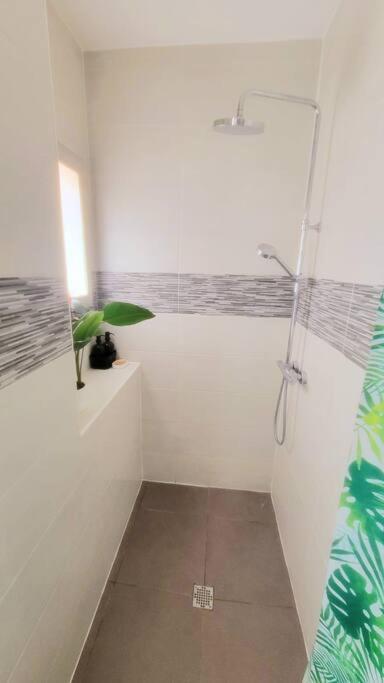 Apartament Superbe T2 Cosy Plein Centre Narbona Zewnętrze zdjęcie
